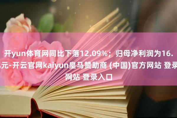 开yun体育网同比下落12.09%;归母净利润为16.33亿元-开云官网kaiyun皇马赞助商 (中国)官方网站 登录入口