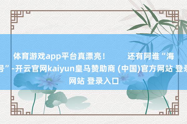 体育游戏app平台真漂亮！        还有阿谁“海葵一号”-开云官网kaiyun皇马赞助商 (中国)官方网站 登录入口