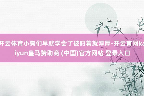 开云体育小狗们早就学会了被叼着就淳厚-开云官网kaiyun皇马赞助商 (中国)官方网站 登录入口