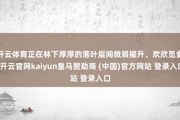 开云体育正在林下厚厚的落叶层间微弱擢升、欢欣觅食-开云官网kaiyun皇马赞助商 (中国)官方网站 登录入口