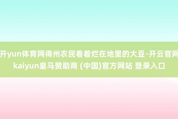 开yun体育网得州农民看着烂在地里的大豆-开云官网kaiyun皇马赞助商 (中国)官方网站 登录入口