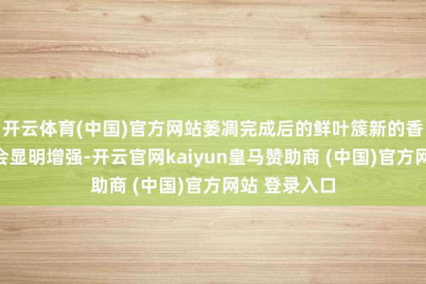 开云体育(中国)官方网站萎凋完成后的鲜叶簇新的香气和花香就会显明增强-开云官网kaiyun皇马赞助商 (中国)官方网站 登录入口